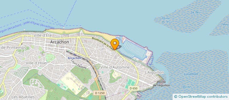 localisation de l'entreprise MADAME LISA SARBOUT  ARCACHON