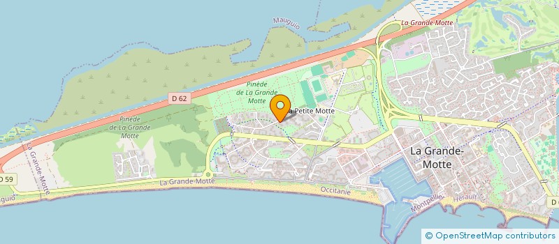 localisation de l'entreprise MADAME LISA SWIDLIKIEWICZ  LA GRANDE-MOTTE