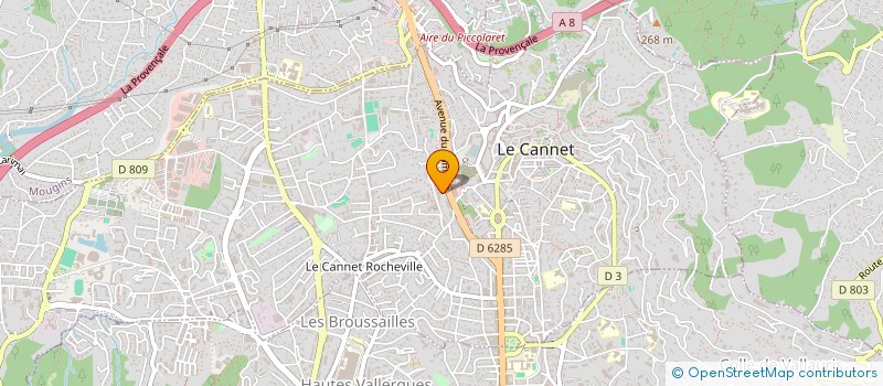 localisation de l'entreprise MADAME LISDEILY SUAREZ SANCHEZ à LE CANNET