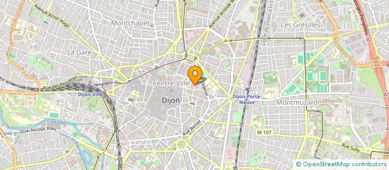 localisation de l'entreprise MADAME LISE DELAY à DIJON