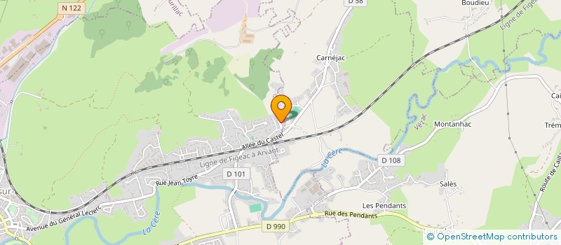 localisation de l'entreprise MADAME LISE FORESTIER à ARPAJON-SUR-CERE
