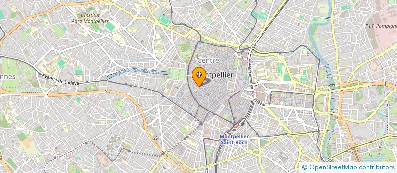 localisation de l'entreprise MADAME LISE JANDOT DIT DANJOU  MONTPELLIER