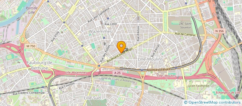 localisation de l'entreprise MADAME LISE JOUIN à LILLE
