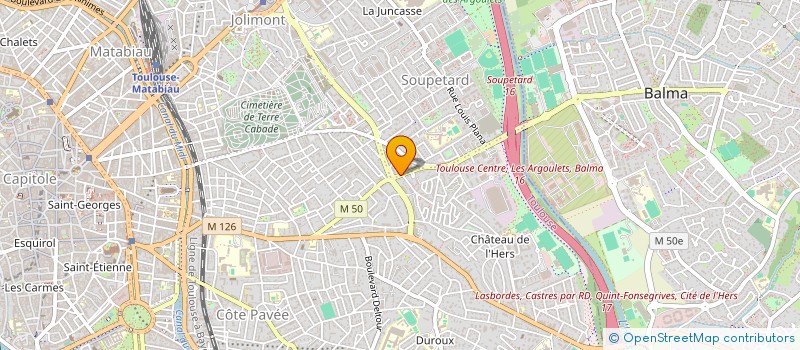 localisation de l'entreprise MADAME LISE LAFARGUE à TOULOUSE