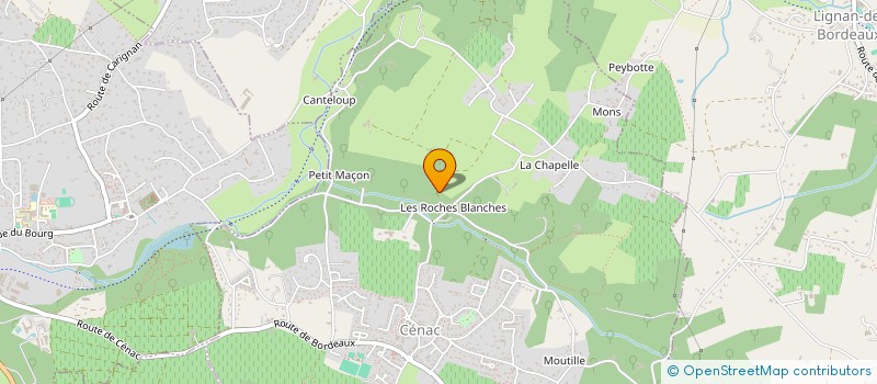 localisation de l'entreprise MADAME LISE MARIN  CAMBLANES-ET-MEYNAC