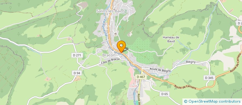 localisation de l'entreprise MADAME LISE PELISSON à SALINS-LES-BAINS