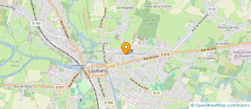 localisation de l'entreprise MADAME LISE PELLETIER à LOUHANS