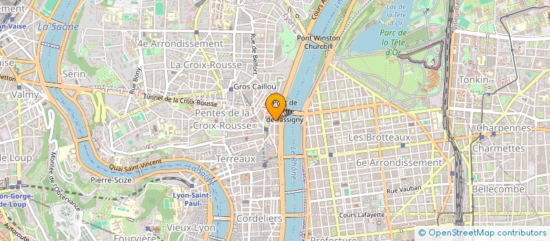 localisation de l'entreprise MADAME LISE PIMMEL à LYON