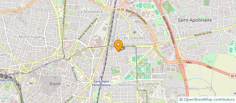 localisation de l'entreprise MADAME LISE SEMAIN  DIJON