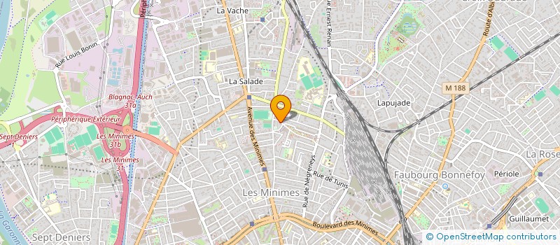 localisation de l'entreprise MADAME LISIANE BENSADOUN à TOULOUSE