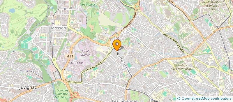 localisation de l'entreprise MADAME LISSANDRA VALVERDE SANTOS à MONTPELLIER