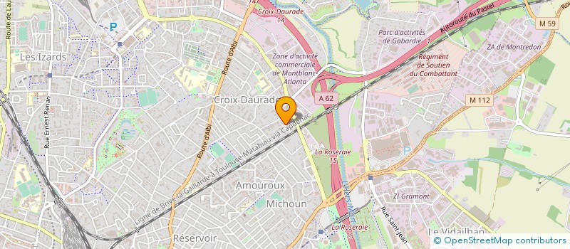 localisation de l'entreprise MADAME LIUBOV SELIVANOVA à TOULOUSE