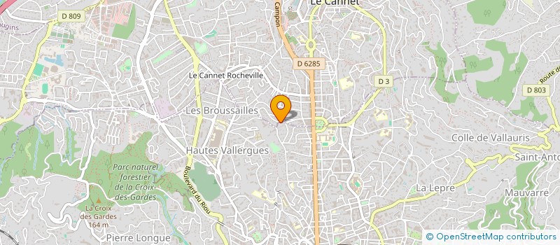 localisation de l'entreprise MADAME LIUDMILA CRETU  LE CANNET