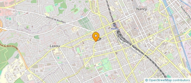 localisation de l'entreprise MADAME LIUDMILA IVASHCHENKO  NANCY