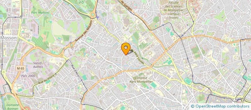 localisation de l'entreprise MADAME LIVIA LUBINO-TREBLA à MONTPELLIER