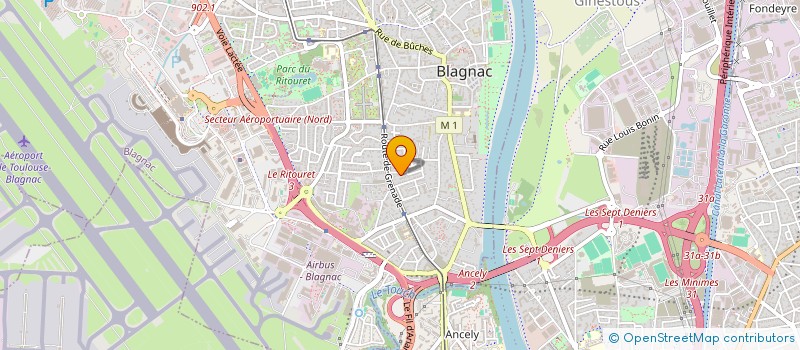 localisation de l'entreprise MADAME LIVIE NATHALIE KANDLER  BLAGNAC