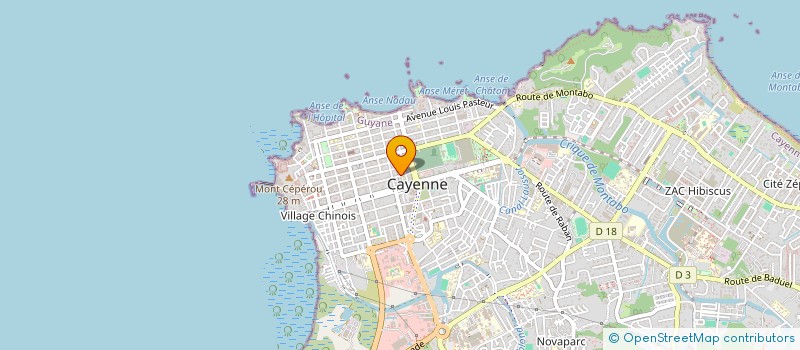 localisation de l'entreprise MADAME LIYAN YANG à CAYENNE