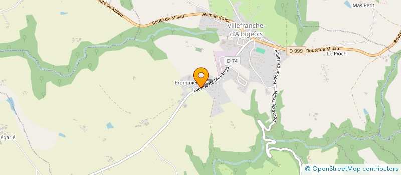 localisation de l'entreprise MADAME LLONA GONCALVES  VILLEFRANCHE-D'ALBIGEOIS