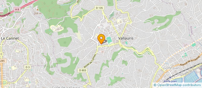 localisation de l'entreprise MADAME LOBNA BEN MANAA à VALLAURIS