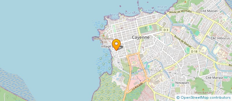 localisation de l'entreprise MADAME LOERIANN LOUISON  CAYENNE