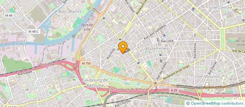 localisation de l'entreprise MADAME LOLITA DEWASCH à LILLE