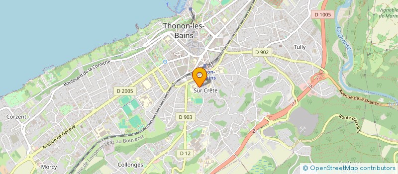 localisation de l'entreprise MADAME LORENA DE CARITA DANTAS TUMA à THONON-LES-BAINS