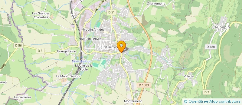 localisation de l'entreprise MADAME LORENE DRISS  SAINT-AMOUR