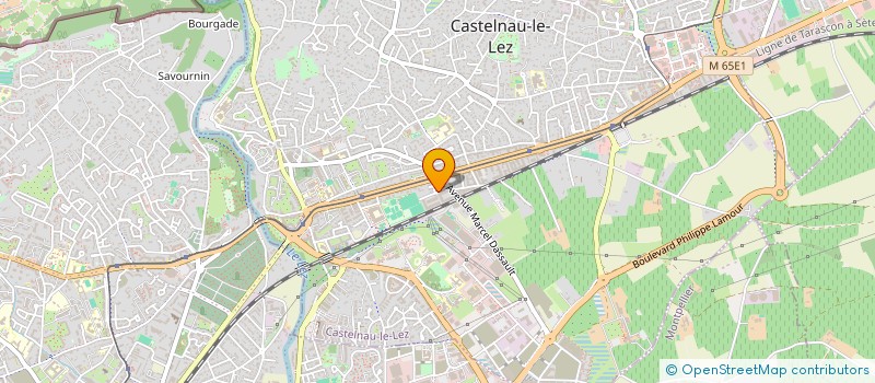 localisation de l'entreprise MADAME LORINE ZWOJCZCZYK à CASTELNAU-LE-LEZ