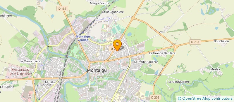 localisation de l'entreprise MADAME LOU FERRER  MONTAIGU-VENDEE