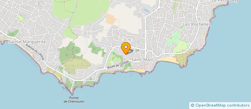 localisation de l'entreprise MADAME LOU-SALOME FAUCHET  SAINT-NAZAIRE