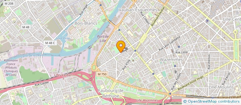 localisation de l'entreprise MADAME LOUBNA HAMDINI  LILLE