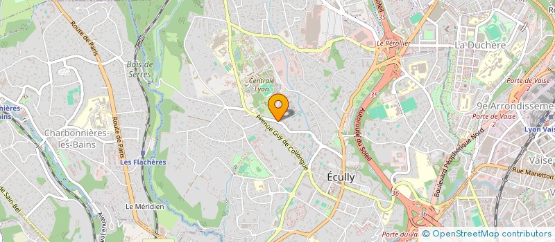 localisation de l'entreprise MADAME LOUISA BRAHIMI  ECULLY