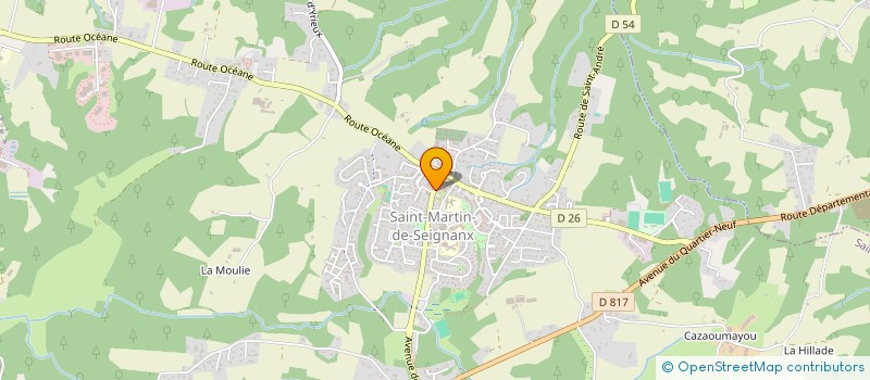 localisation de l'entreprise MADAME LOUISE BERINI  SAINT-MARTIN-DE-SEIGNANX