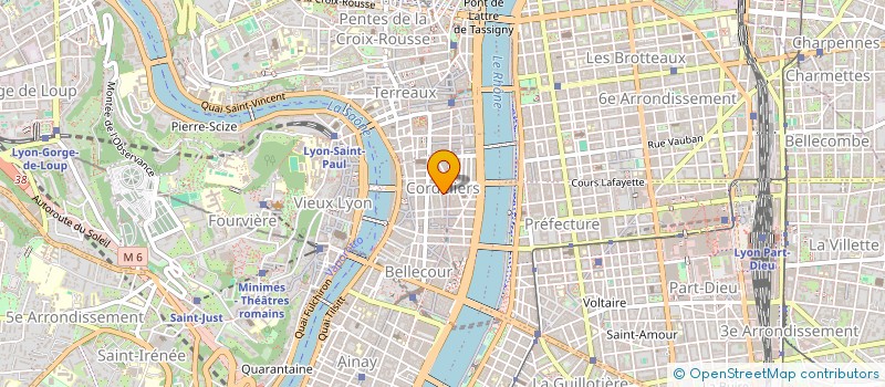 localisation de l'entreprise MADAME LOUISE BETHERY à LYON