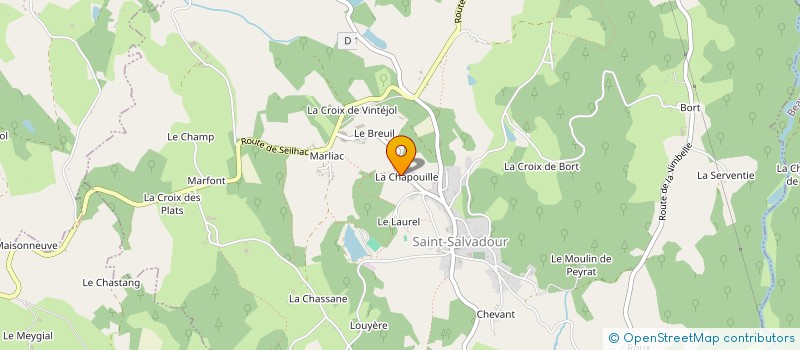 localisation de l'entreprise MADAME LOUISE LACOMBE  SAINT-SALVADOUR