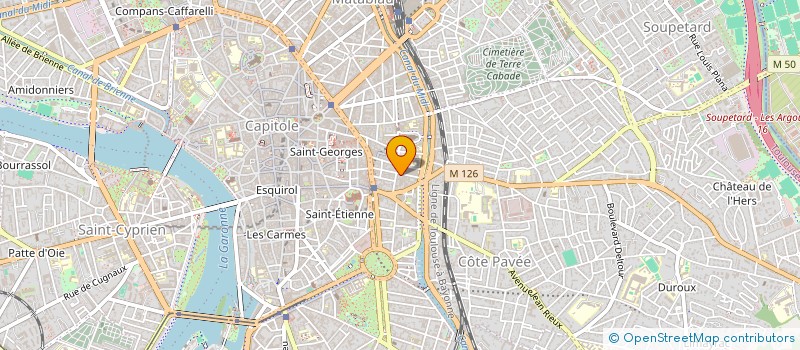 localisation de l'entreprise MADAME LOUISE MILLELIRI  TOULOUSE