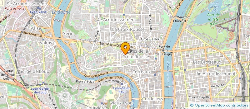 localisation de l'entreprise MADAME LOUISE NELSON à LYON