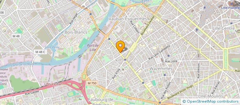 localisation de l'entreprise MADAME LOUISE SZCZEPANIAK  LILLE