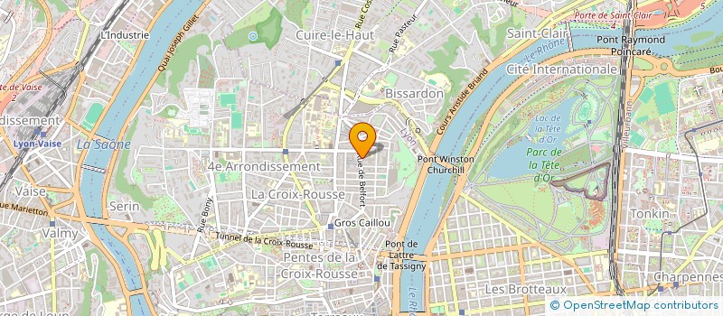 localisation de l'entreprise MADAME LOUISE TRUC à LYON