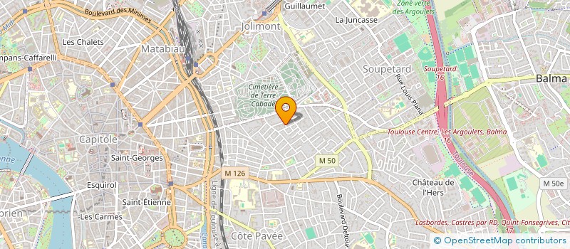 localisation de l'entreprise MADAME LOUISE TURNER  TOULOUSE