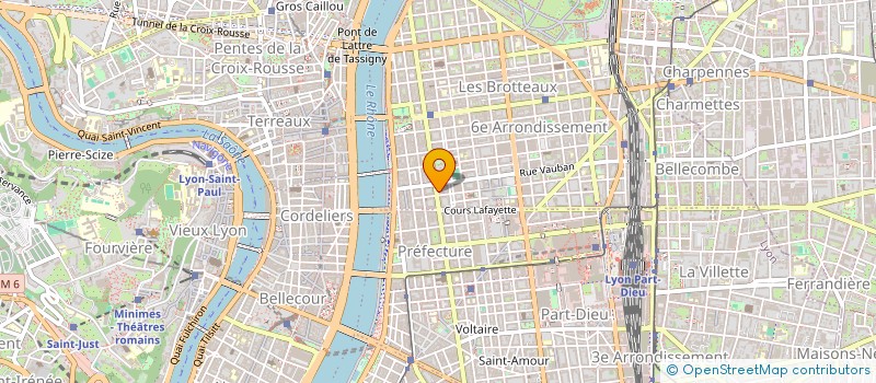 localisation de l'entreprise MADAME LOUISE VEDEAU  LYON