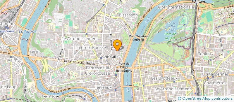 localisation de l'entreprise MADAME LOULI VULLIOD-PIN  LYON 4EME