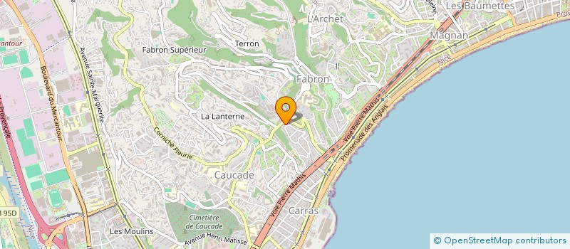 localisation de l'entreprise MADAME LUANA DE BARROS PIMENTEL à NICE