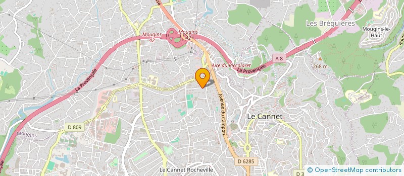 localisation de l'entreprise MADAME LUBOMIRA MOCHNACOVA à LE CANNET