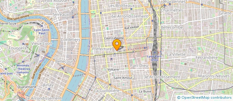 localisation de l'entreprise MADAME LUCE FLEURY  LYON