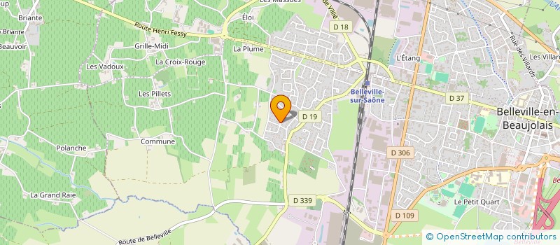 localisation de l'entreprise MADAME LUCE MARION à BELLEVILLE-EN-BEAUJOLAIS
