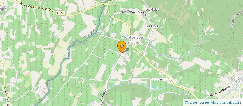 localisation de l'entreprise MADAME LUCE RUNGETTE à MONTBRISON-SUR-LEZ