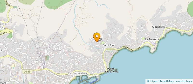 localisation de l'entreprise MADAME LUCIANA PELLEGRINO  LE LAVANDOU