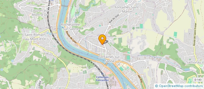 localisation de l'entreprise MADAME LUCIANA SILBERSTEIN  FONTAINES-SUR-SAONE