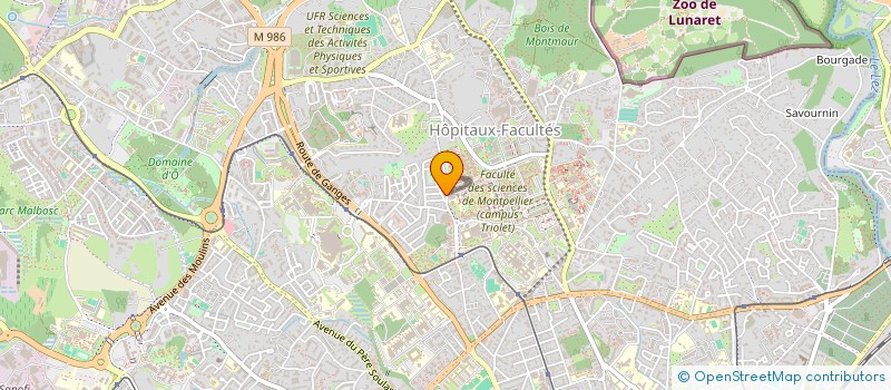 localisation de l'entreprise MADAME LUCIE BADOURIC à MONTPELLIER
